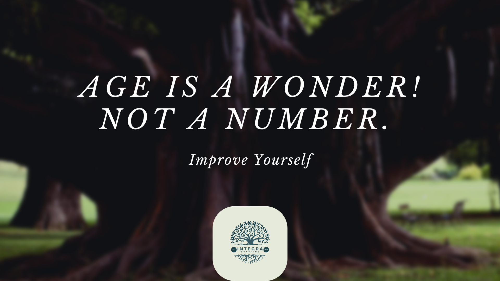 Text on a dark, blurred tree background: 