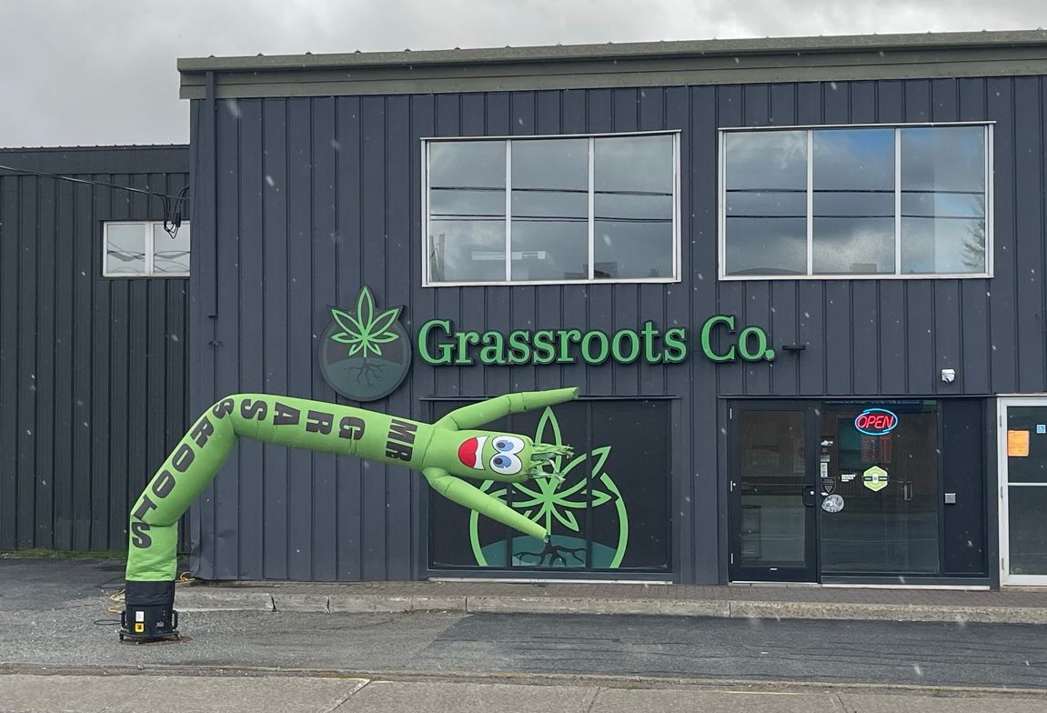 Green inflatable tube man in front of "Grassroots Co." dispensary. The tube man arches over, with the word "SHREDS" printed.