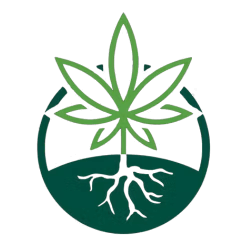 Green cannabis leaf and roots within a dark green circle.