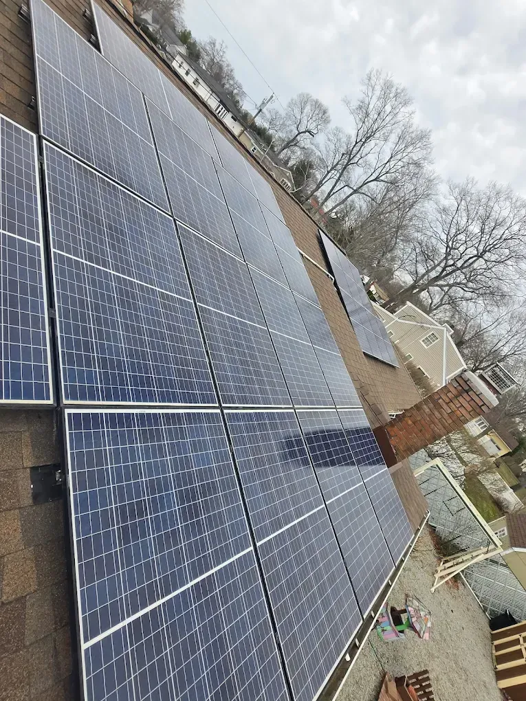 Solar panels mounted on a roof beside leafless trees on an overcast day
