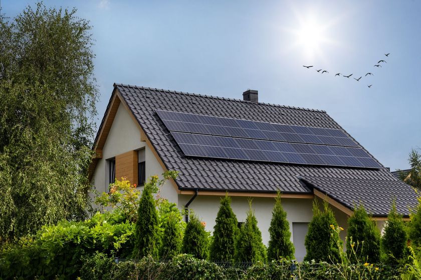 House with solar panels behind a green hedge under a bright sunny sky