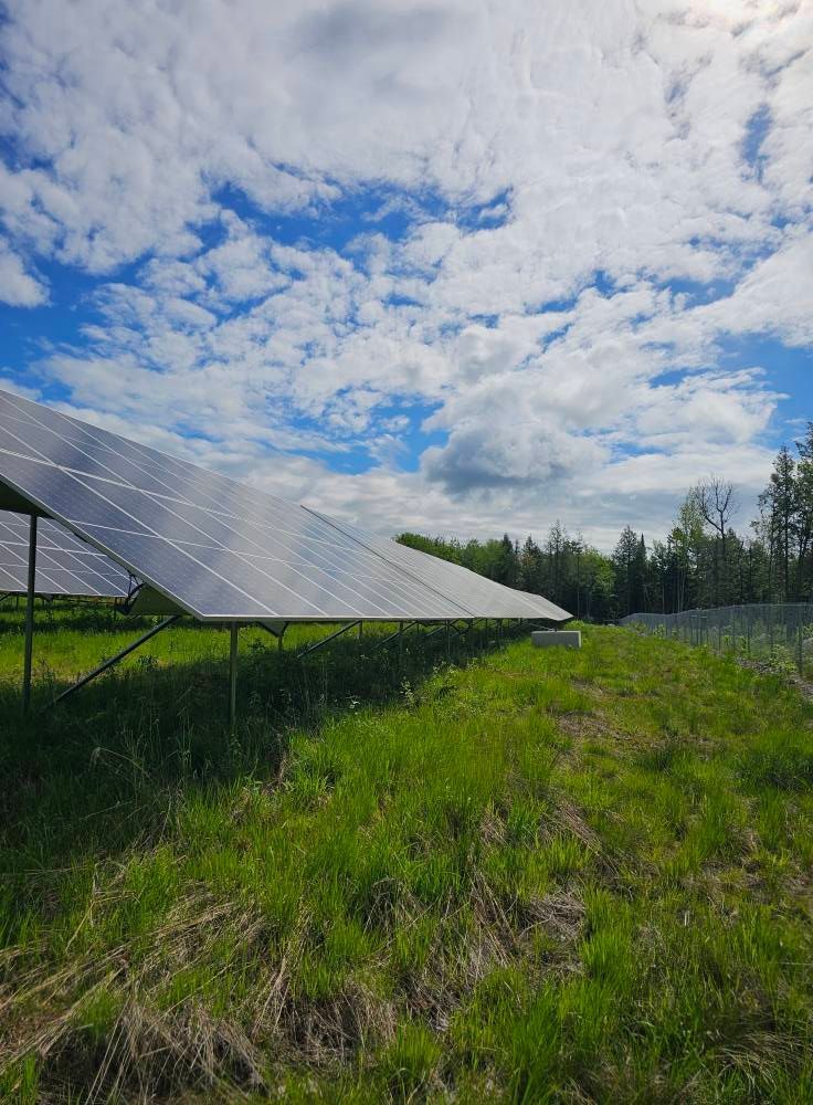 Rows of solar panels in a grassy field under a bright, cloudy blue sky.
