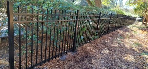 Black metal fence in front of green bushes and trees, on a brown ground covered with pine needles.