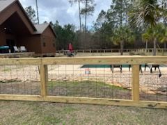 Wooden fence with wire mesh surrounds a pool, backyard with house and trees visible.