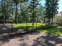 Black metal fence surrounds a grassy yard with trees and a house in the background.