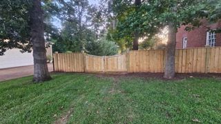 Wooden fence with a gate between two trees, fronted by grass.