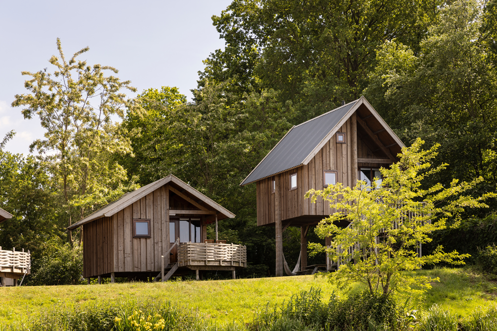 Wooden cabins nestled in a grassy area near trees, with one cabin elevated on stilts.