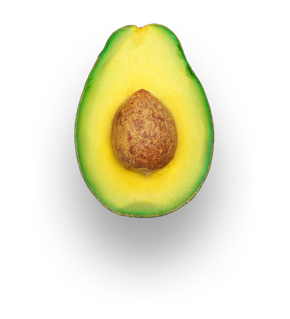 Avocado