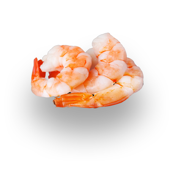 shrimp