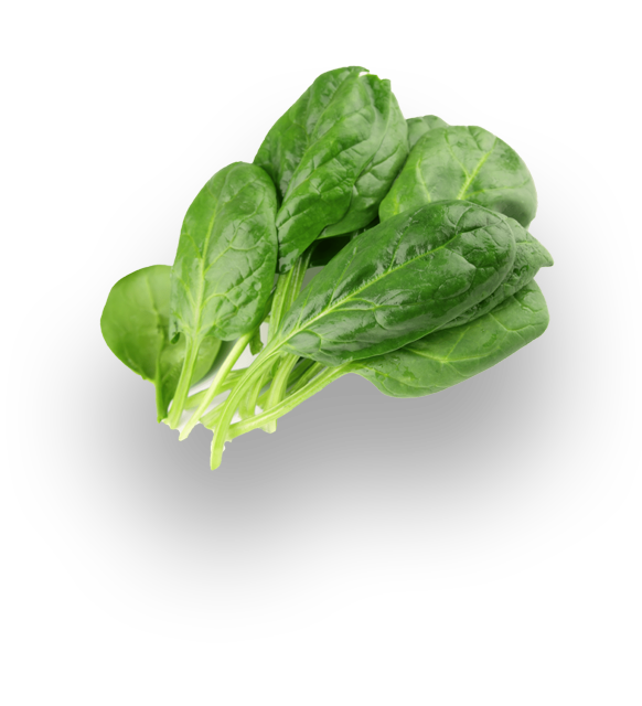 Spinach