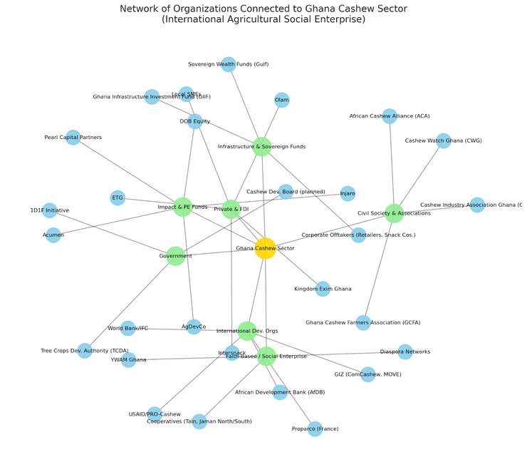 Network graph: organizations connected to Ghana Catholic Sector. Nodes are blue, green, and yellow, representing different organizational types.
