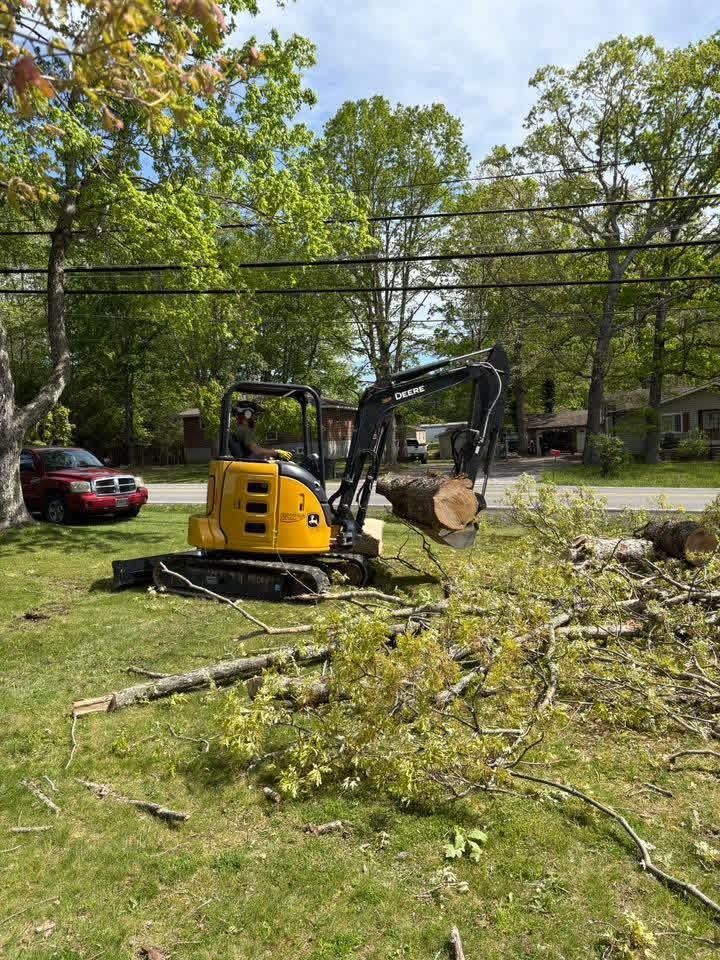 Yellow excavator clearing fallen tree branches in a grassy yard near a road, with a red car in the background.