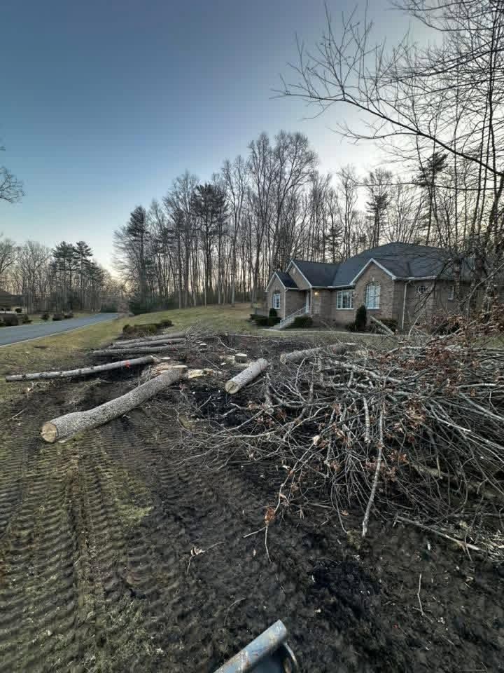 Cut logs and branches beside a house at the edge of a wooded yard under a clear sky