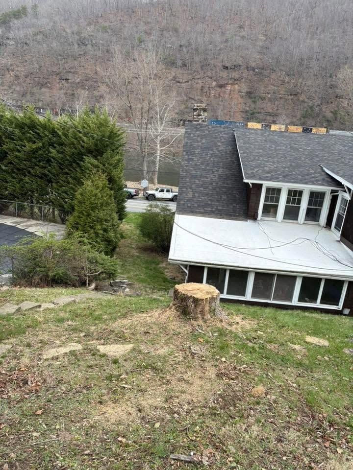 Steep grassy yard with a tree stump, hedge, and a house below a wooded hillside