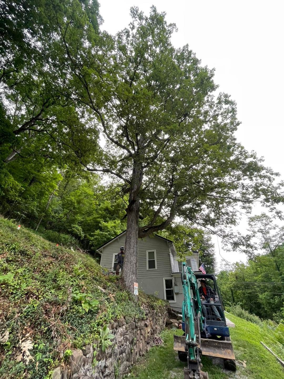 House on a steep wooded hillside with a ladder lift or small excavator in front