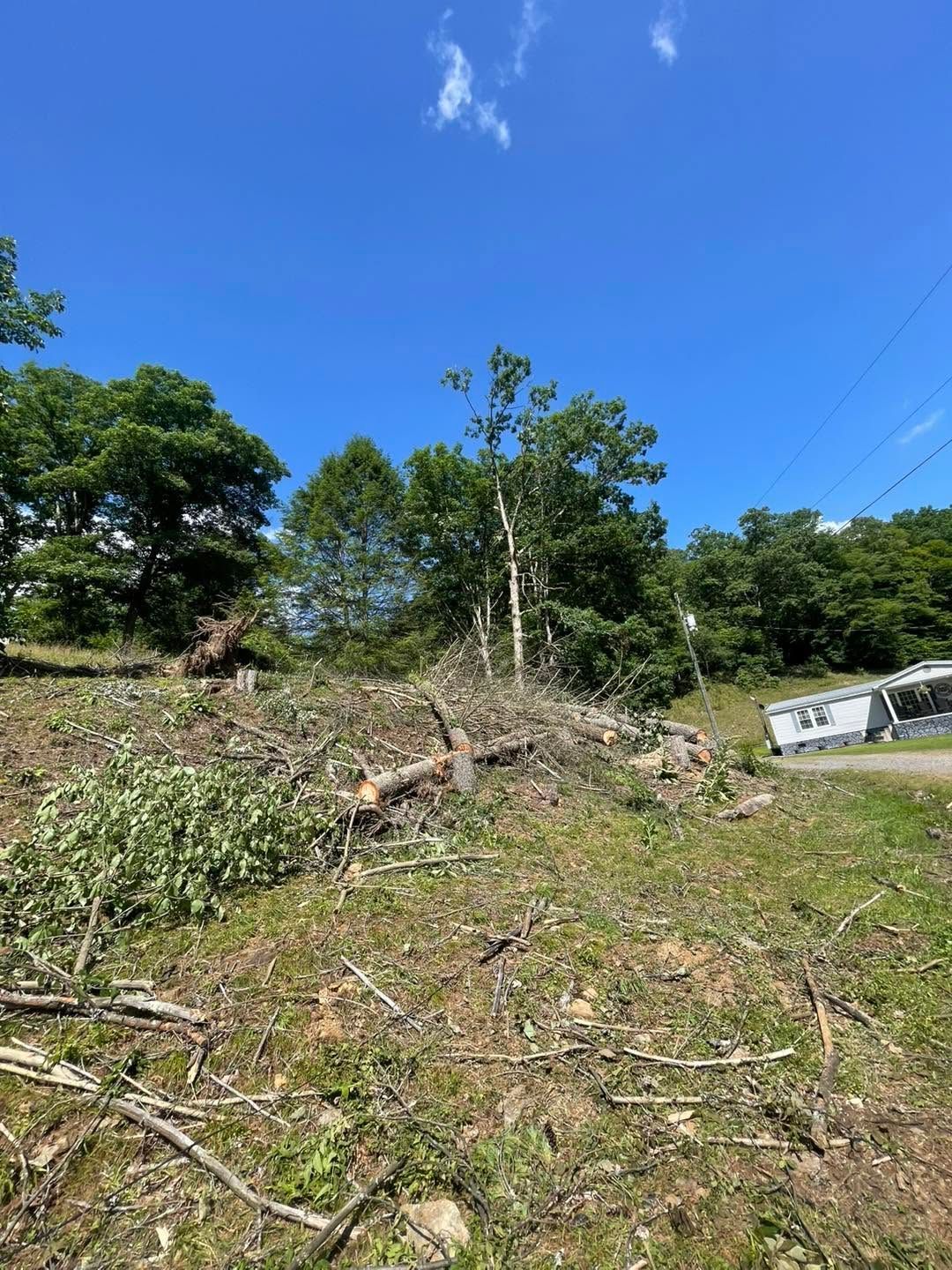Cleared hillside with cut branches and trees, white truck at right, under a bright blue sky