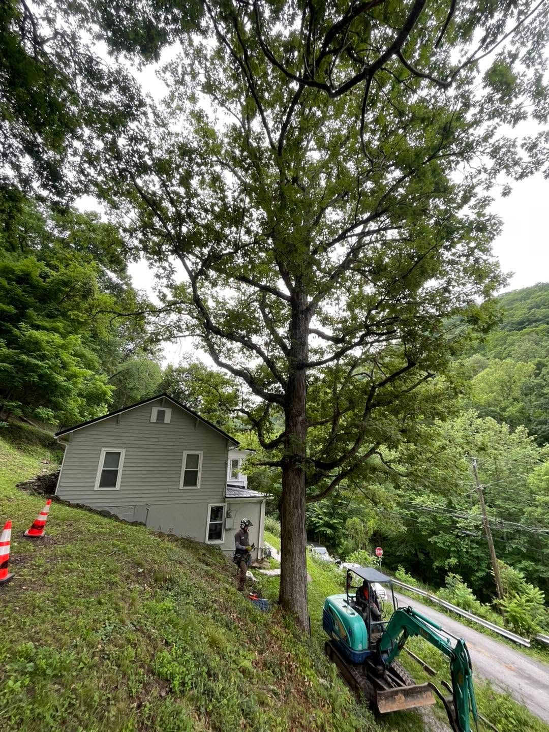 House on steep hillside beside road and trees, with a green excavator in the foreground