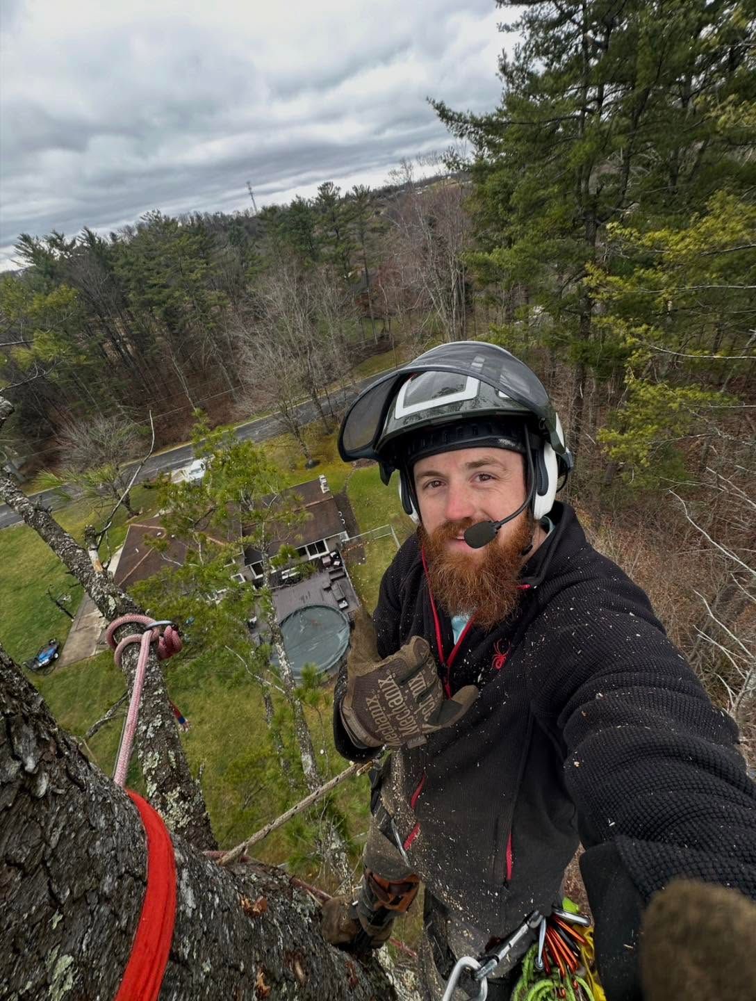 Helmeted person on a tree, taking a selfie above a wooded yard and stream under cloudy skies