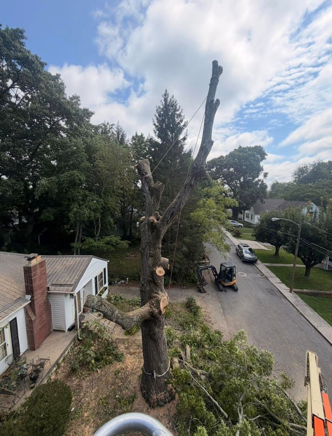 Uprooted tree limb blocks a residential street, with a car and sidewalk beside it under a cloudy sky.