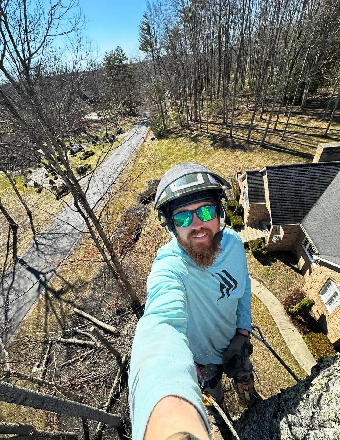 Tree removal in progress – Cleartree LLC, Ghent WV