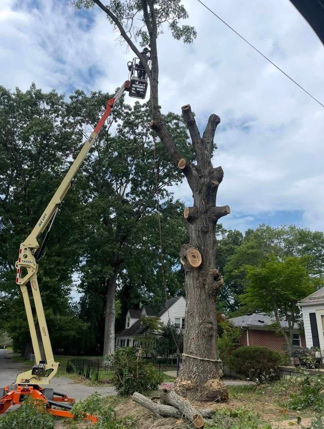 Cleartree LLC tree services in action – Ghent, West Virginia