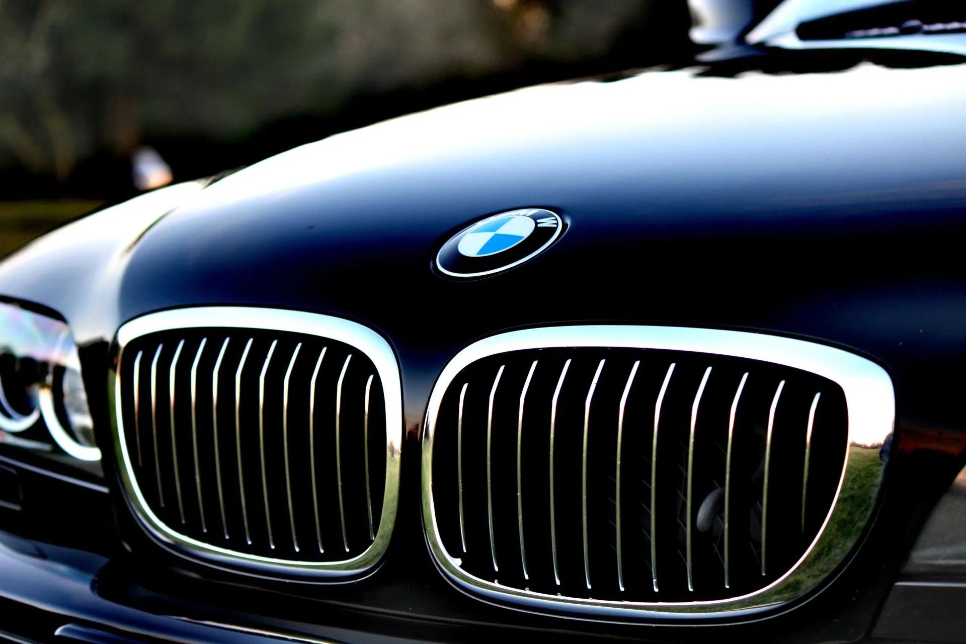 Close-up of a black BMW front grille and hood with chrome trim and logo
