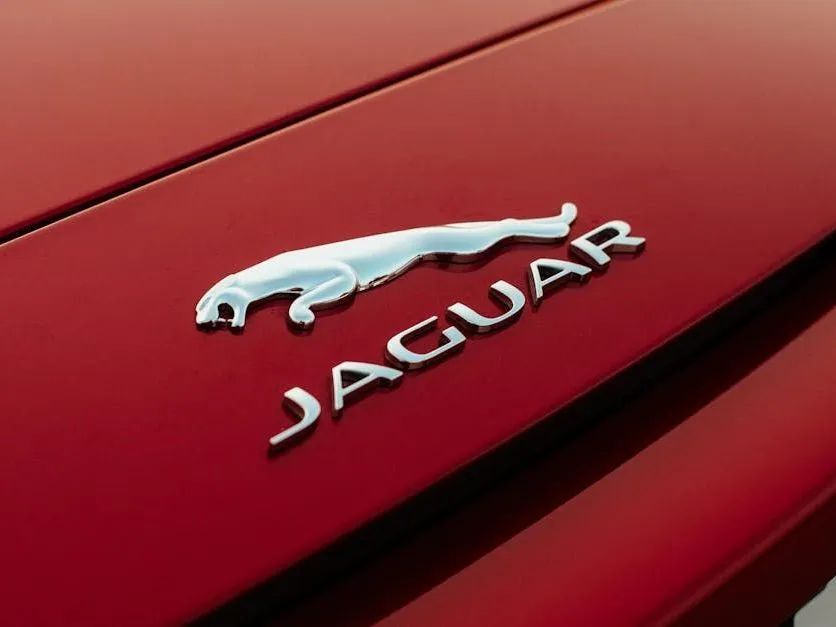 Jaguar hood emblem on a red car with the silver leaping cat logo.