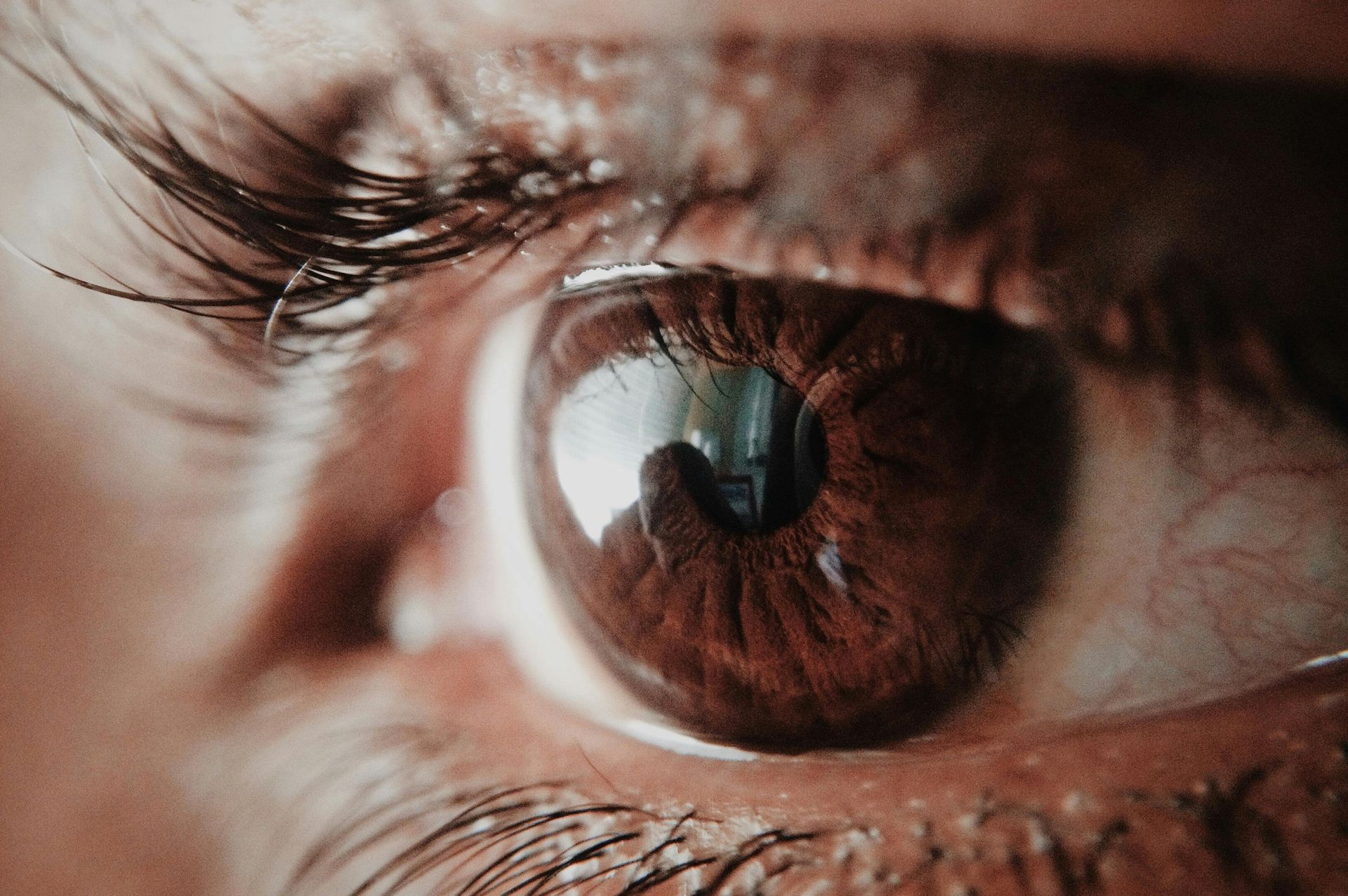 Close-up of a brown eye, reflecting a person and window. Dark eyelashes, skin, and eye details.