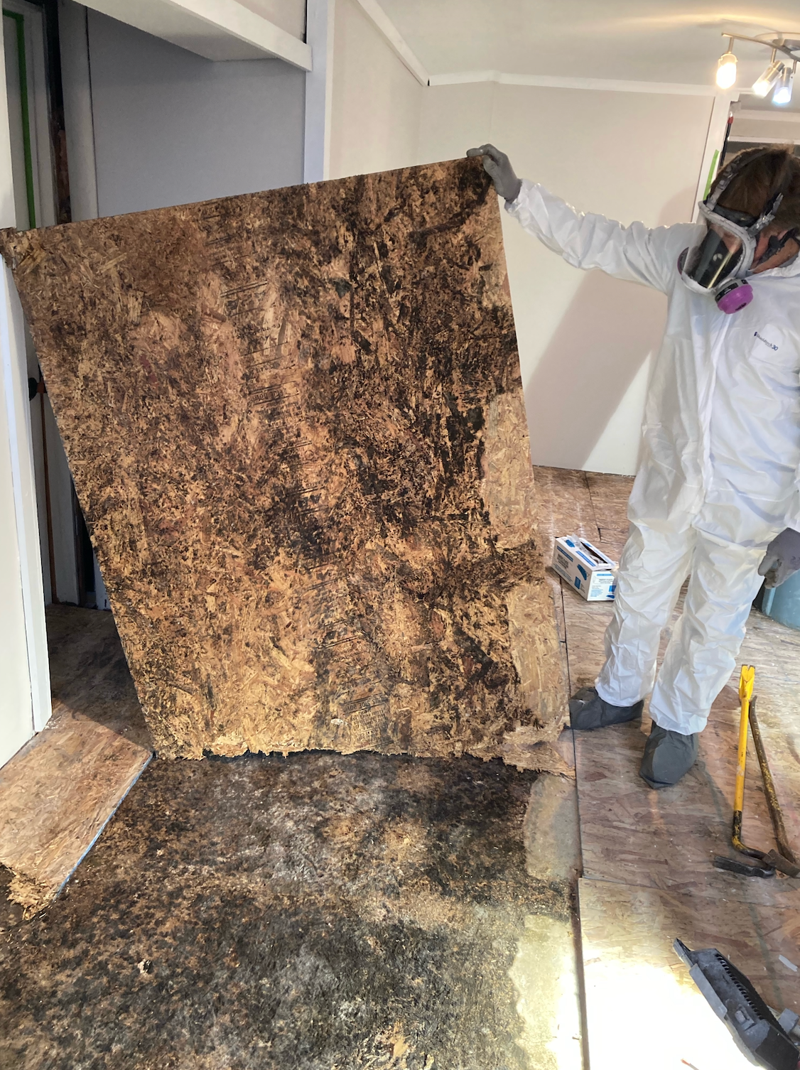 Technician in protective suit removing mold damaged material from a room
