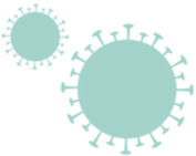 Two light green circular virus icons with spike-like projections on their surface against a white background.