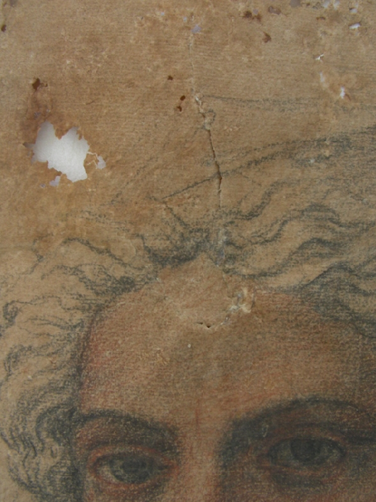 Galleria Sabauda di Torino Peruzzi B.  Testa di giovane donna Disegno a grafite e pastello su carta Prima del restauro