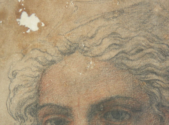 Galleria Sabauda di Torino Peruzzi B. “ Testa di giovane donna” Disegno a grafite e pastello su carta Durante il restauro Risarcimento della lacuna con carta occidentale e Tylose MH 300P
