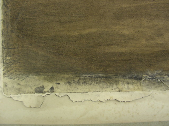 particolare opera di Torino Fontanesi A. Autunno Carboncino su carta Prima del restauro
