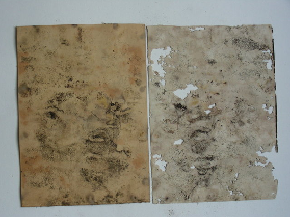 Rivalta di Torino (TO) Chiesa dei Santi Vittore e Corona Ex voto “Incidente agricolo” Tempera su carta Prima del restauro Soseishi