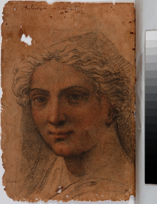 Galleria Sabauda di Torino Peruzzi B. “ Testa di giovane donna” Disegno a grafite e pastello su carta  Prima del restauro
