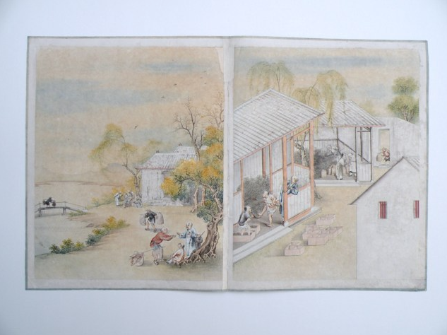 Museo Garda di Ivrea (TO) Album cinese Raccolta di pitture della lavorazione, del trasporto e del commercio del tè Inchiostro sumi e acquerello su carta Dopo il restauro