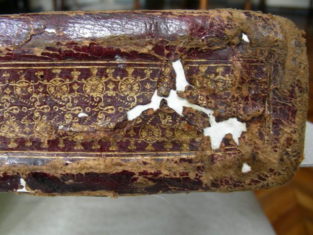 Biblioteca Reale di Torino Volume Dorso Durante il restauro Reintegrazione delle lacune con carta occidentale e amido di grano purificato (zin shofu)
