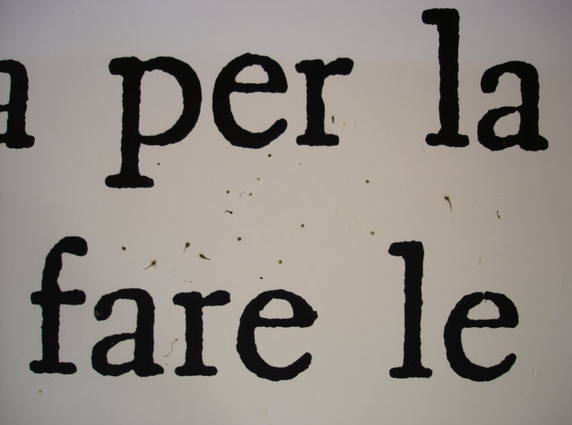 Collezione La Gaia, Busca (CN) Kosuth J. tampa alla gelatina bromuro d’argento su carta politenata Prima del restauro Deiezioni di insetto