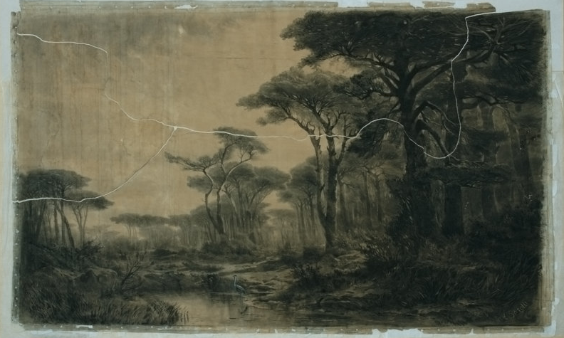 Galleria d’Arte Moderna di Torino Perotti E. La pineta di Ostia Prima del restauro