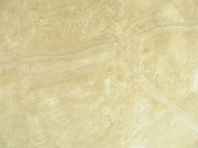Galleria d’Arte Moderna di Torino Perotti La pineta di Ostia 1865 Sutura degli strappi con carta giapponese e amido di grano purificato zin shofu