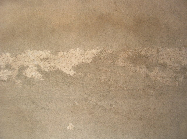 Galleria d’Arte Moderna di Torino Perotti E. La pineta di Ostia 1865 Alleggerimento del disturbo ottico delle abrasioni superficiali con acquerelli Winsor&Newton carboncino e pastello