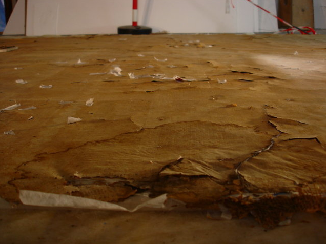 Pontificio Istituto Teutonico di S. Maria dell’Anima, Roma - Piano primo Soffitto in carta dipinta intelata Visione del verso a seguito della rimozione del supporto in tela