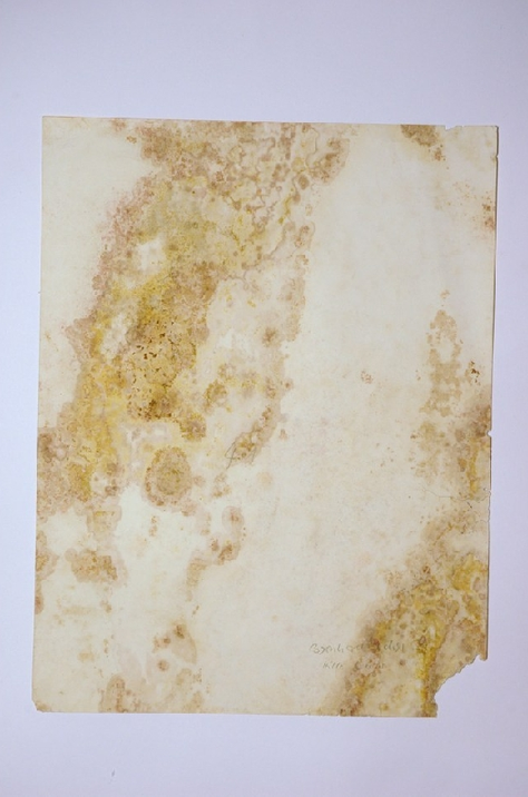 Collezione privata Bernd Becher “Water towers” Stampa alla gelatina bromuro d’argento su carta baritata Prima del restauro