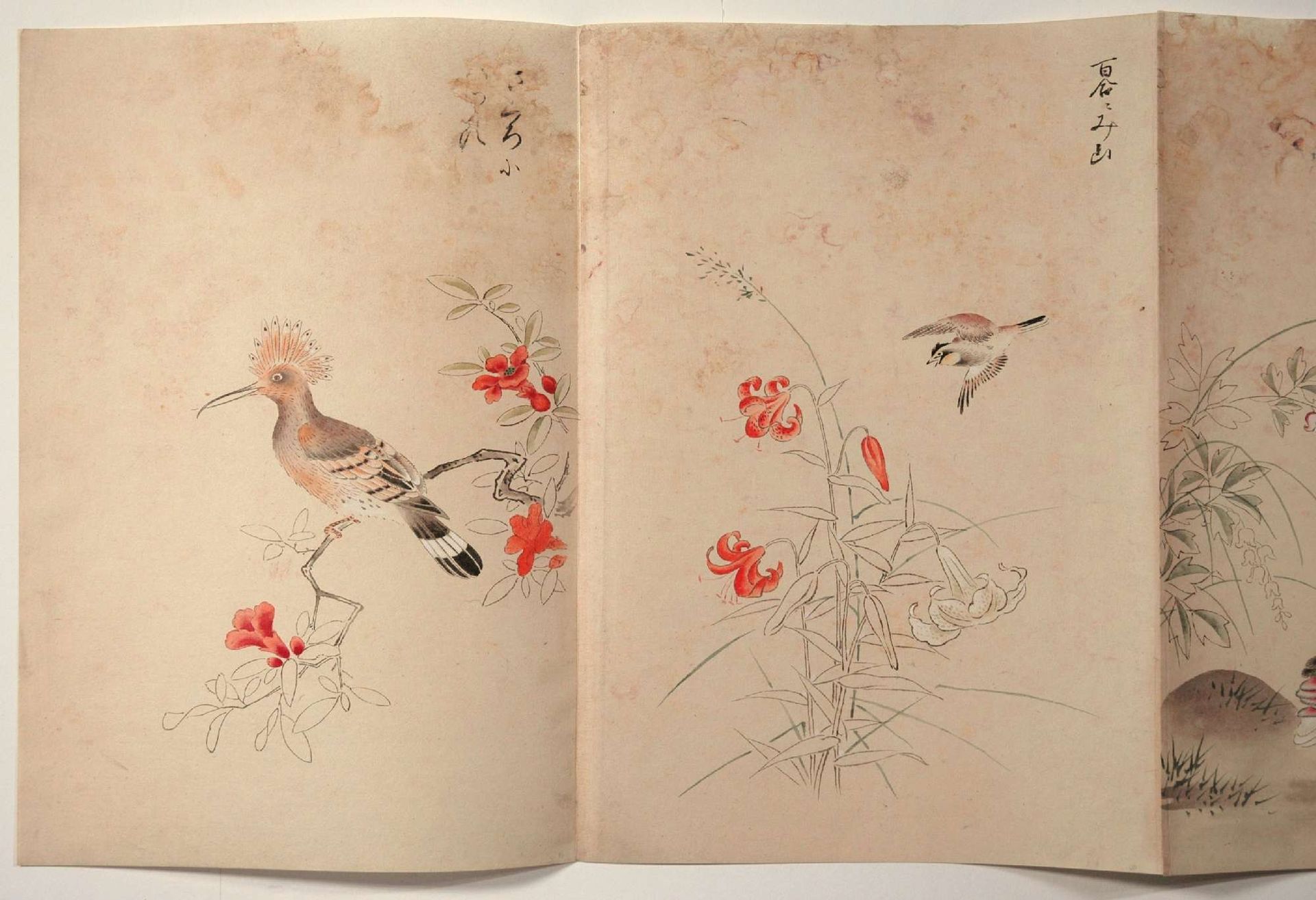 testi carta arte orientale Soseishi Torino