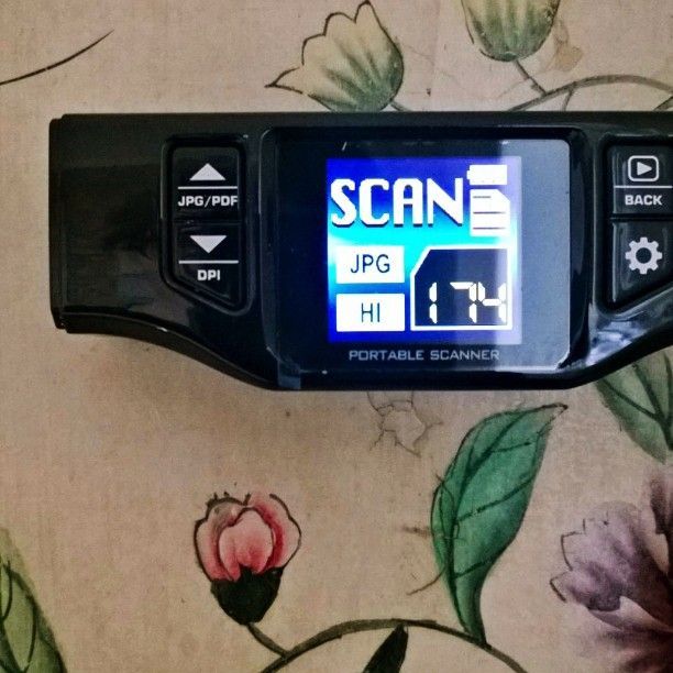 Collezione privata Torino Cineseria Tappezzeria in carta foderata su tela Durante Acquisizione motivo decorativo con scanner portatile