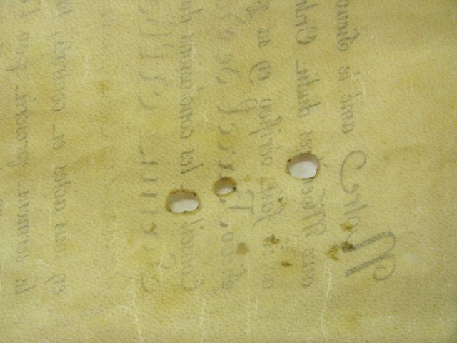 Beni archivistici e librari Soseishi Torino