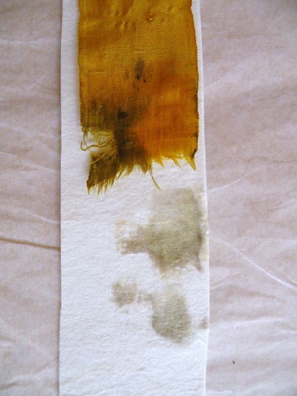 Collezione privata Atto di onorificenza inchiostro e gouache su pergamena Durante il restauro Pulitura a tampone su tavola aspirante del nastro in seta impiegato per ancorare il sigillo alla pergamena