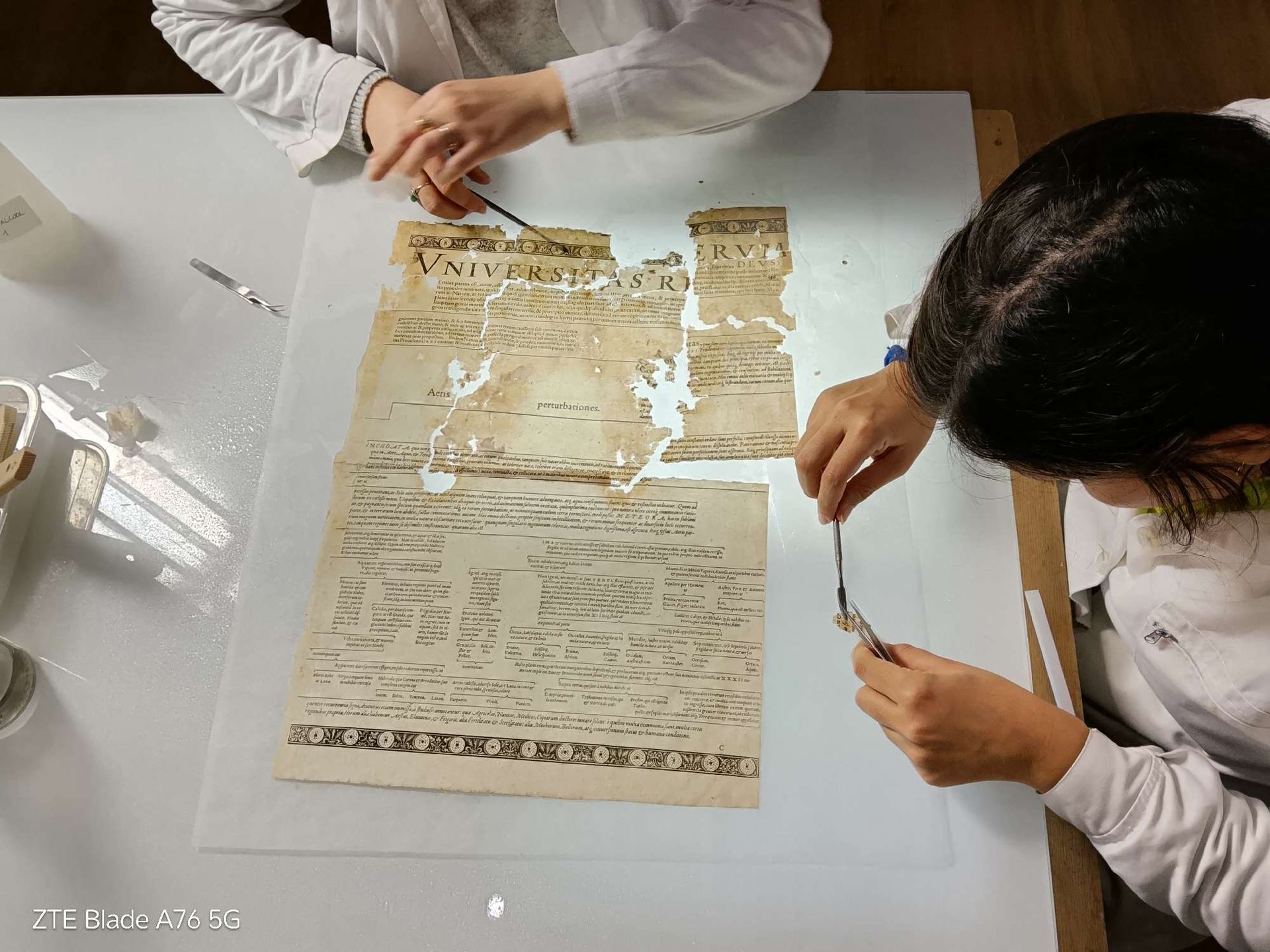 lavorazione restauro enciclopedia Soseishi Torino