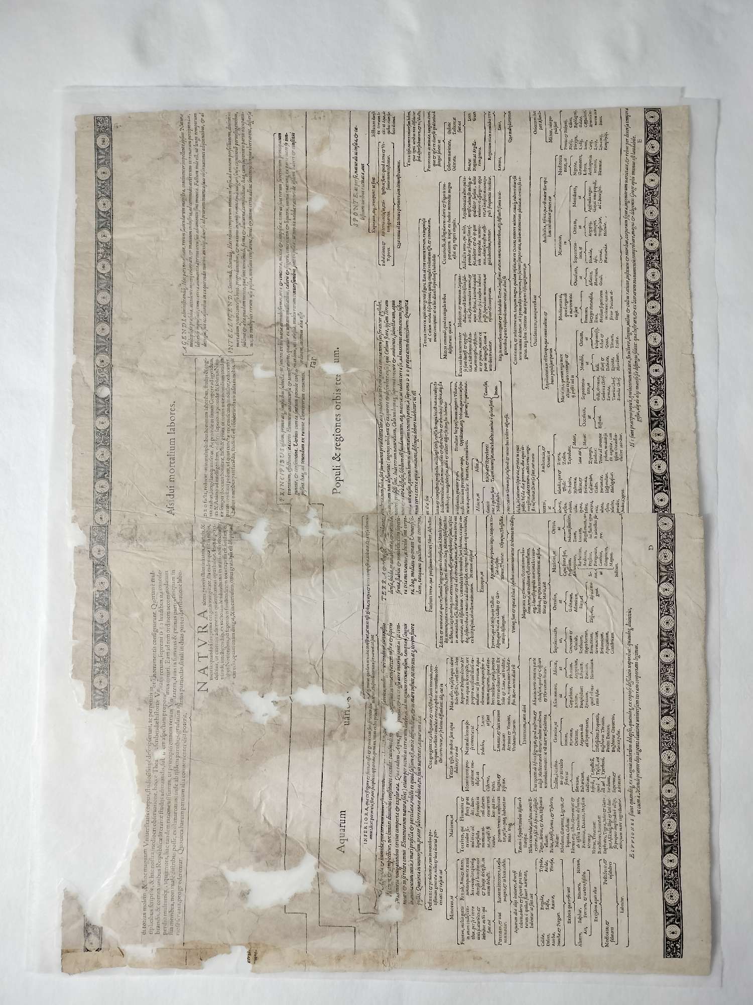 Restauro enciclopedia Soseishi Torino