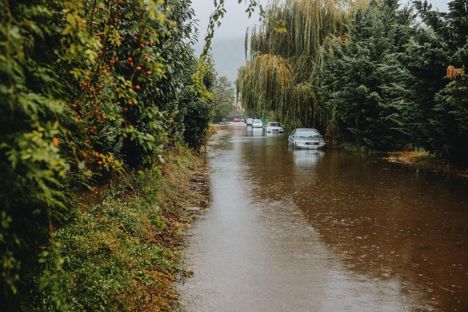 Flooded road with several cars submerged in murky water; trees line both sides.